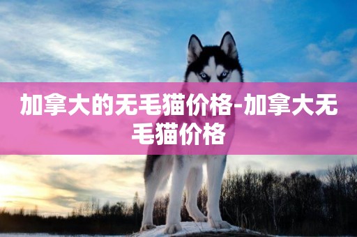 加拿大的無毛貓價格-加拿大無毛貓價格