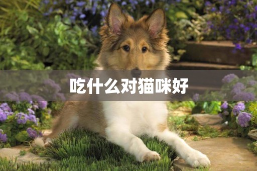 吃什么對貓咪好