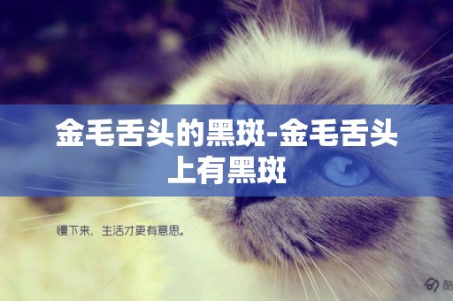 金毛舌頭的黑斑-金毛舌頭上有黑斑