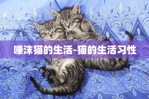 唾沫貓的生活-貓的生活習性