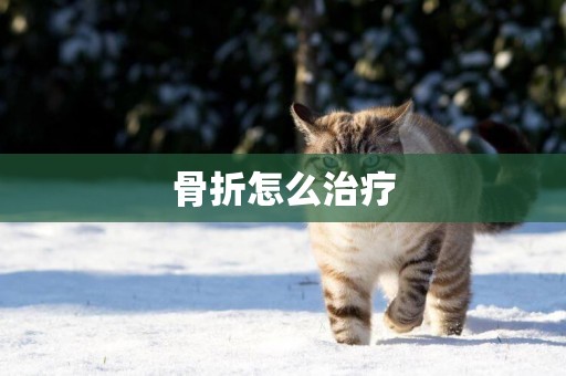 骨折怎么治療