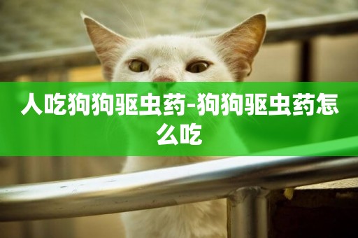 人吃狗狗驅蟲藥-狗狗驅蟲藥怎么吃