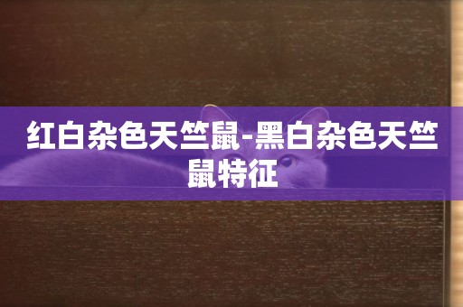 紅白雜色天竺鼠-黑白雜色天竺鼠特征