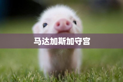 馬達加斯加守宮