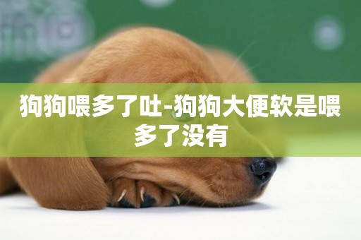 狗狗喂多了吐-狗狗大便軟是喂多了沒有