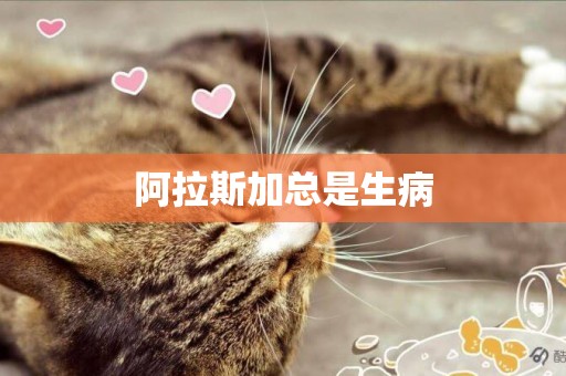 阿拉斯加總是生病