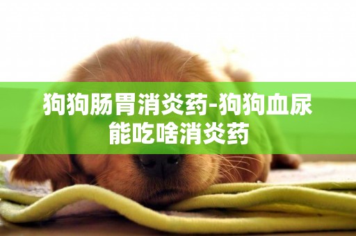 狗狗腸胃消炎藥-狗狗血尿能吃啥消炎藥