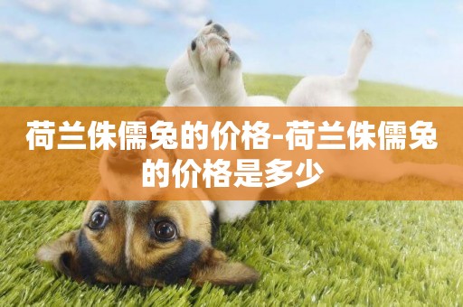 荷蘭侏儒兔的價格-荷蘭侏儒兔的價格是多少