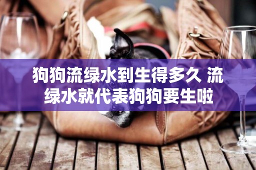 狗狗流綠水到生得多久 流綠水就代表狗狗要生啦