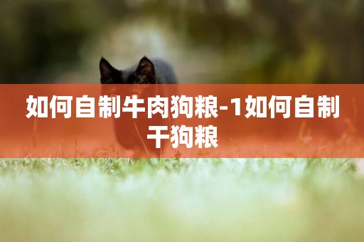 如何自制牛肉狗糧-1如何自制干狗糧
