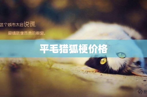 平毛獵狐梗價格