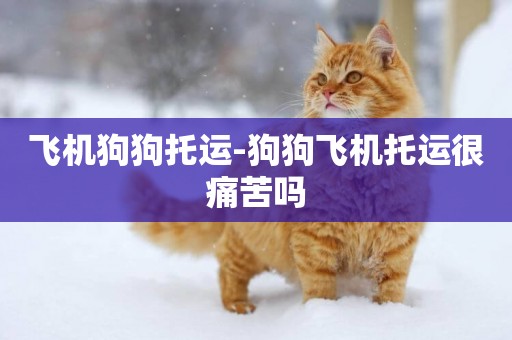 飛機狗狗托運-狗狗飛機托運很痛苦嗎