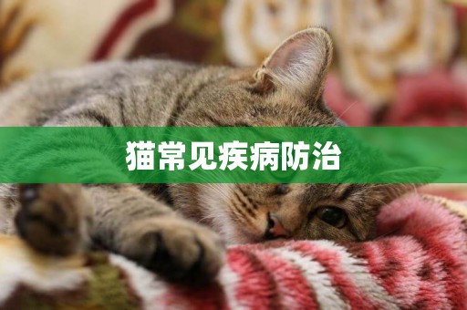 貓常見疾病防治