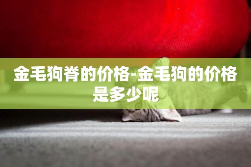 金毛狗脊的價格-金毛狗的價格是多少呢