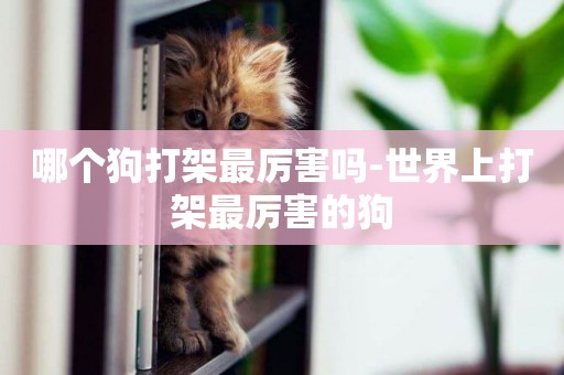 哪個狗打架最厲害嗎-世界上打架最厲害的狗