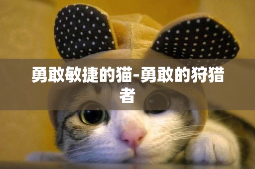 勇敢敏捷的貓-勇敢的狩獵者