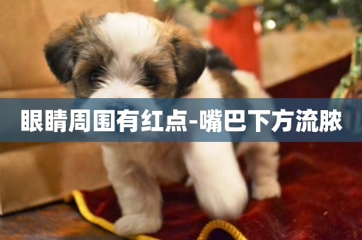 眼睛周圍有紅點-嘴巴下方流膿