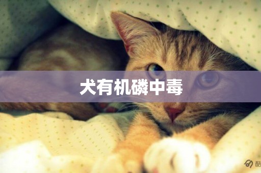 犬有機磷中毒