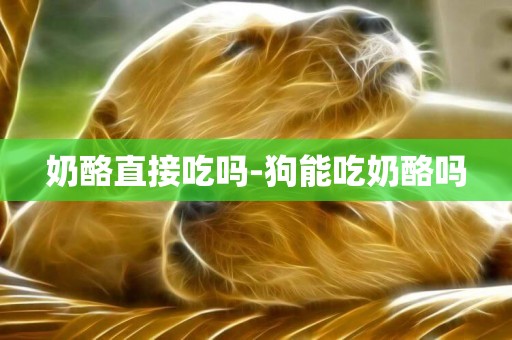 奶酪直接吃嗎-狗能吃奶酪嗎