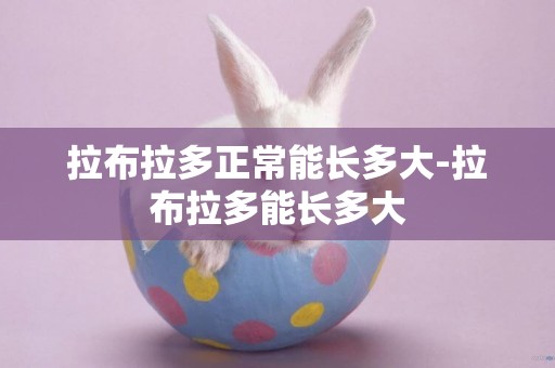 拉布拉多正常能長多大-拉布拉多能長多大