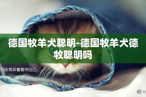 德國牧羊犬聰明-德國牧羊犬德牧聰明嗎