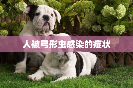 人被弓形蟲感染的癥狀