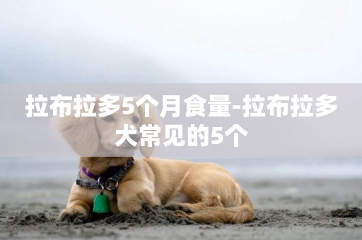 拉布拉多5個月食量-拉布拉多犬常見的5個