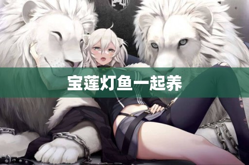 寶蓮燈魚一起養