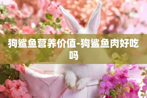 狗鯊魚營養價值-狗鯊魚肉好吃嗎