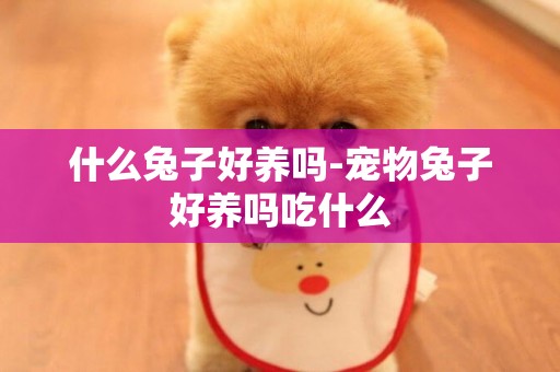 什么兔子好養嗎-寵物兔子好養嗎吃什么