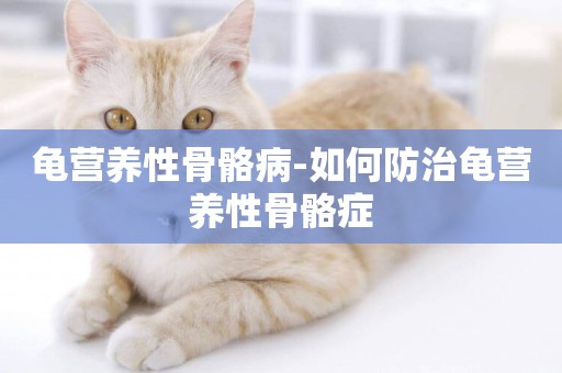 龜營養性骨骼病-如何防治龜營養性骨骼癥