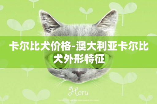 卡爾比犬價格-澳大利亞卡爾比犬外形特征