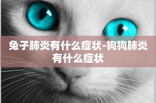 兔子肺炎有什么癥狀-狗狗肺炎有什么癥狀