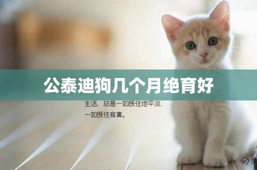 公泰迪狗幾個月絕育好