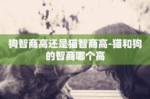 狗智商高還是貓智商高-貓和狗的智商哪個高