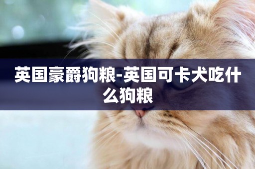 英國豪爵狗糧-英國可卡犬吃什么狗糧