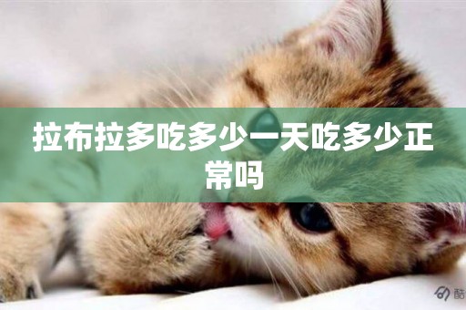 拉布拉多吃多少一天吃多少正常嗎