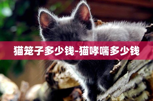 貓籠子多少錢-貓哮喘多少錢