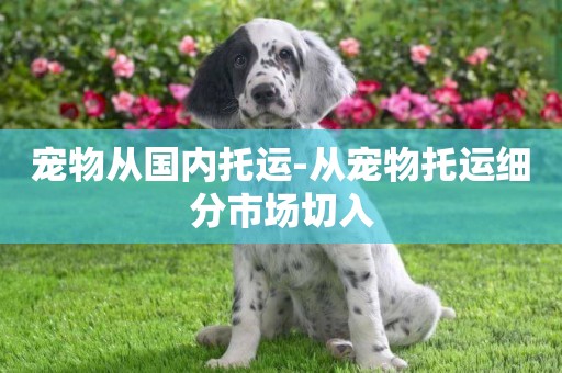 寵物從國內托運-從寵物托運細分市場切入