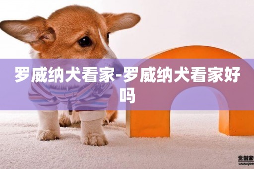 羅威納犬看家-羅威納犬看家好嗎