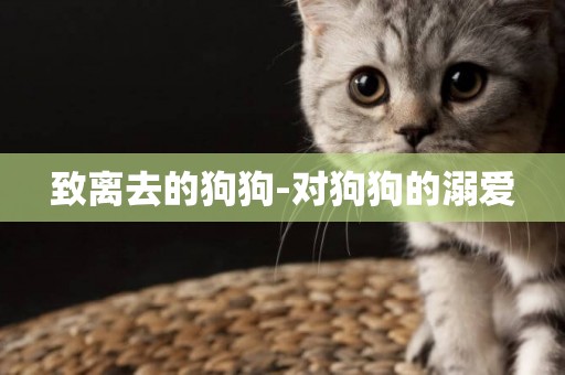 致離去的狗狗-對狗狗的溺愛