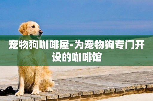 寵物狗咖啡屋-為寵物狗專門開設的咖啡館