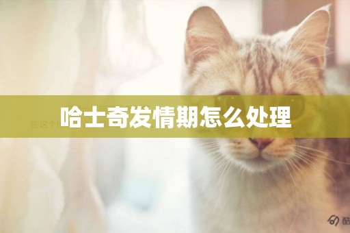 哈士奇發情期怎么處理