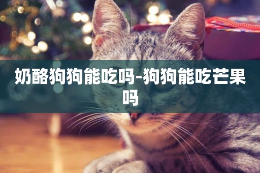 奶酪狗狗能吃嗎-狗狗能吃芒果嗎