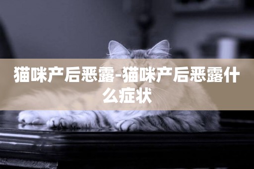 貓咪產后惡露-貓咪產后惡露什么癥狀