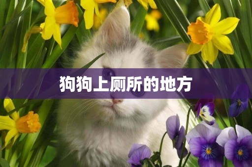 狗狗上廁所的地方