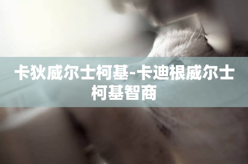 卡狄威爾士柯基-卡迪根威爾士柯基智商