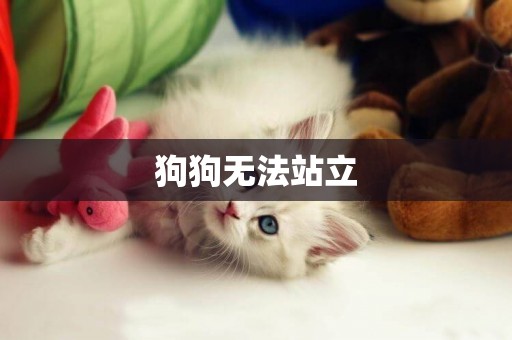 狗狗無法站立