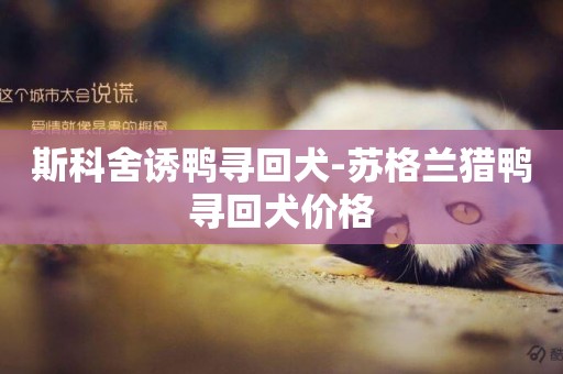 斯科舍誘鴨尋回犬-蘇格蘭獵鴨尋回犬價格