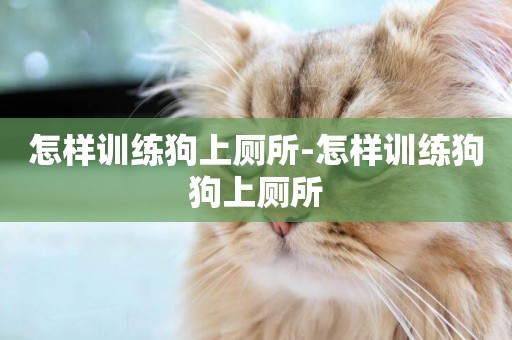 怎樣訓練狗上廁所-怎樣訓練狗狗上廁所